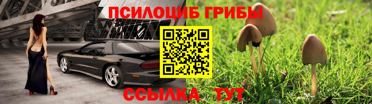 Псилоцибиновые грибы мухоморы Буйнакск